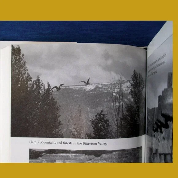 Book - Collapse: How Societies Choose to Fail or Succeed, by Jared Diamond - Picture 6 of 15